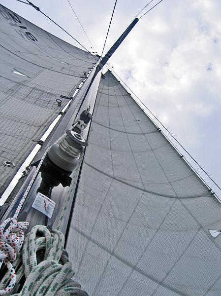 wavemagic_sailing2.JPG - New Mast- Main and Blade Jib